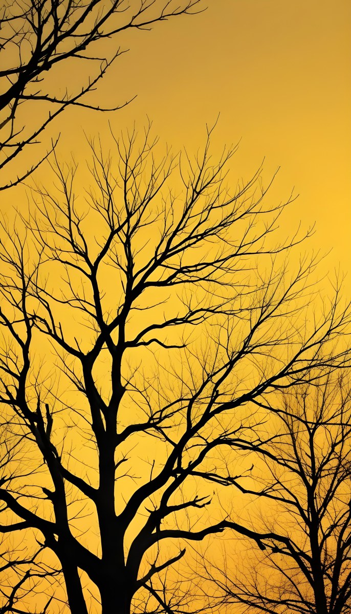 Bare Tree Branches Against A Vibrant Yellow Sky Creating An Abstract And Moody Autumn Scene 2 Eaed