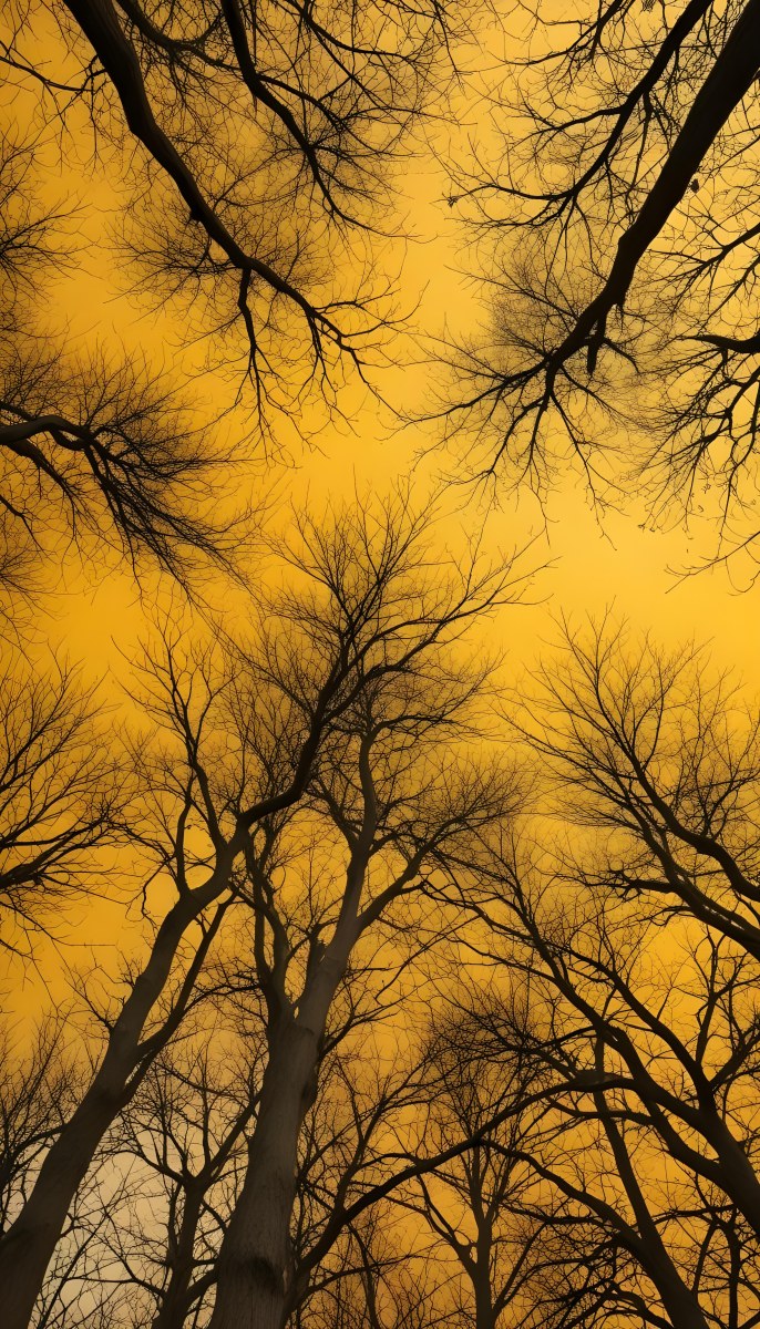 Bare Tree Branches Against A Vibrant Yellow Sky Creating An Abstract And Moody Autumn Scene 23 0261