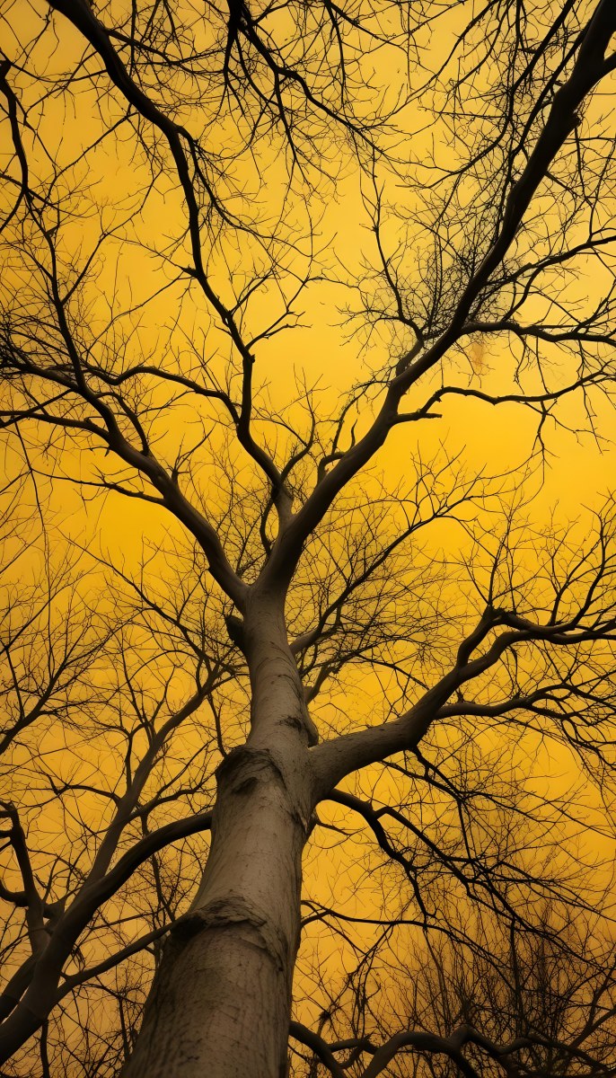 Bare Tree Branches Against A Vibrant Yellow Sky Creating An Abstract And Moody Autumn Scene 25 Cae9