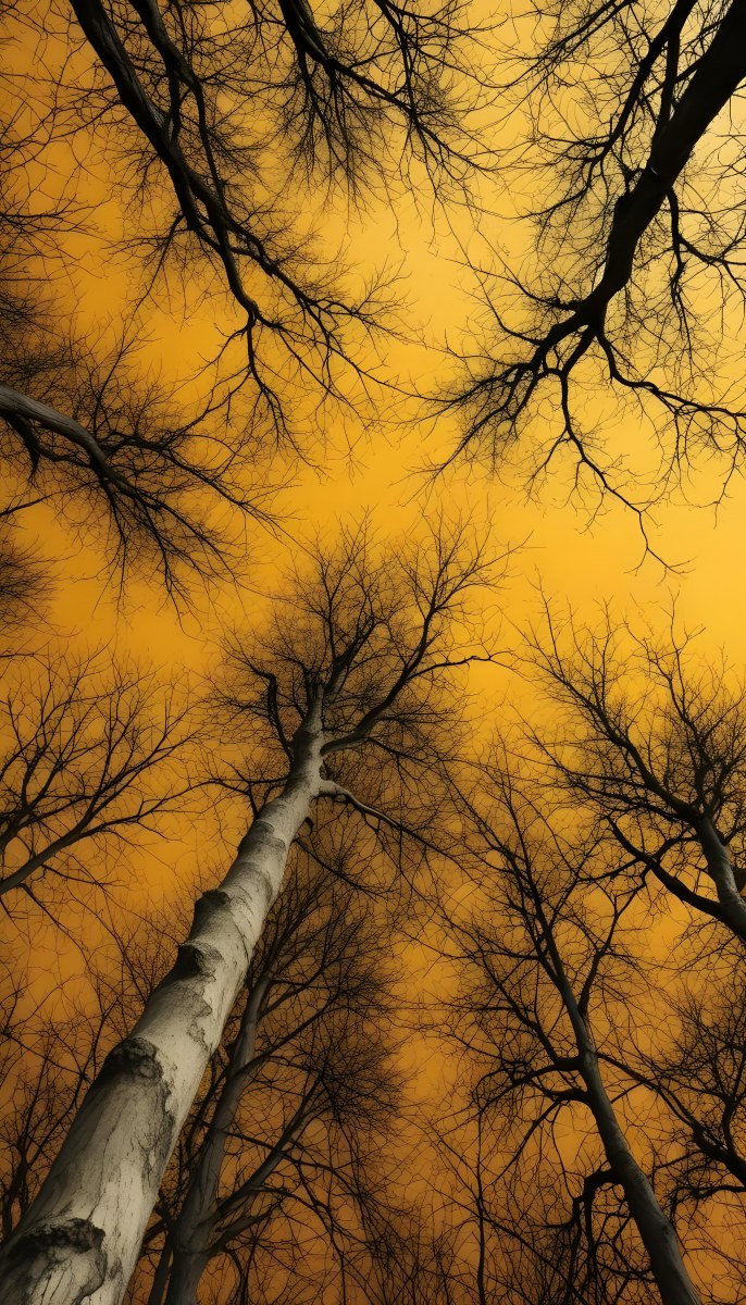 Bare Tree Branches Against A Vibrant Yellow Sky Creating An Abstract And Moody Autumn Scene 26 Fcfa