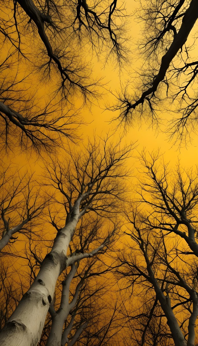 Bare Tree Branches Against A Vibrant Yellow Sky Creating An Abstract And Moody Autumn Scene 27 6634
