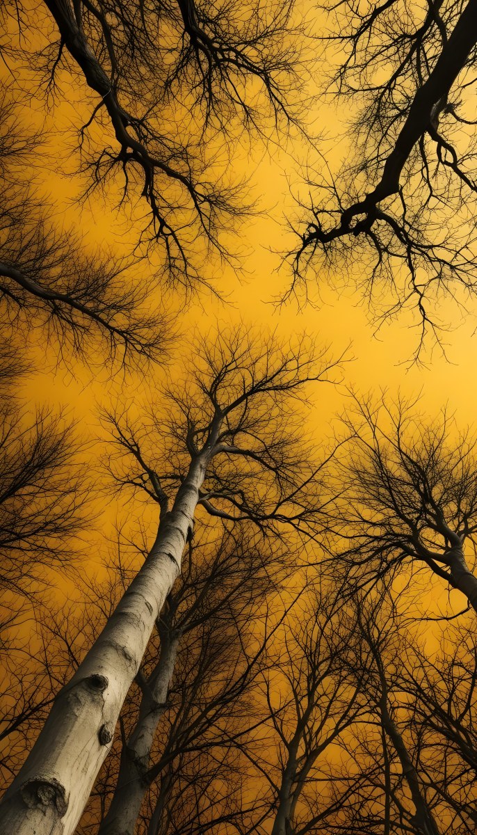 Bare Tree Branches Against A Vibrant Yellow Sky Creating An Abstract And Moody Autumn Scene 28 6285