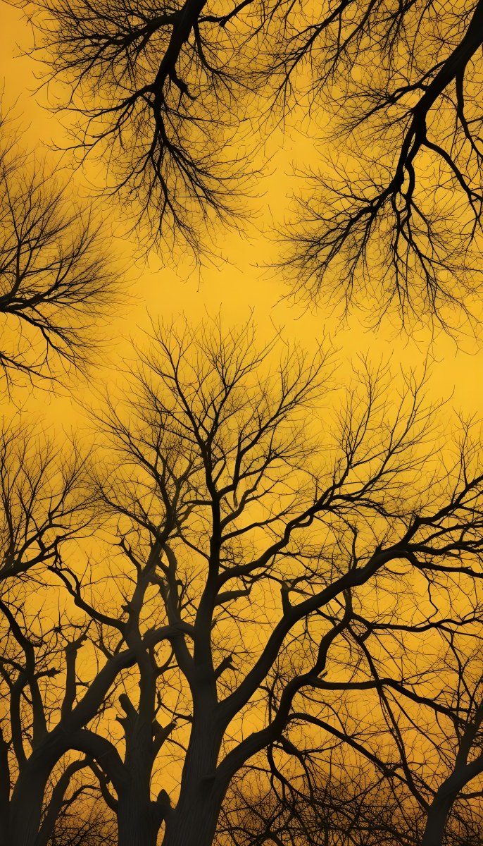 Bare Tree Branches Against A Vibrant Yellow Sky Creating An Abstract And Moody Autumn Scene 29 997d