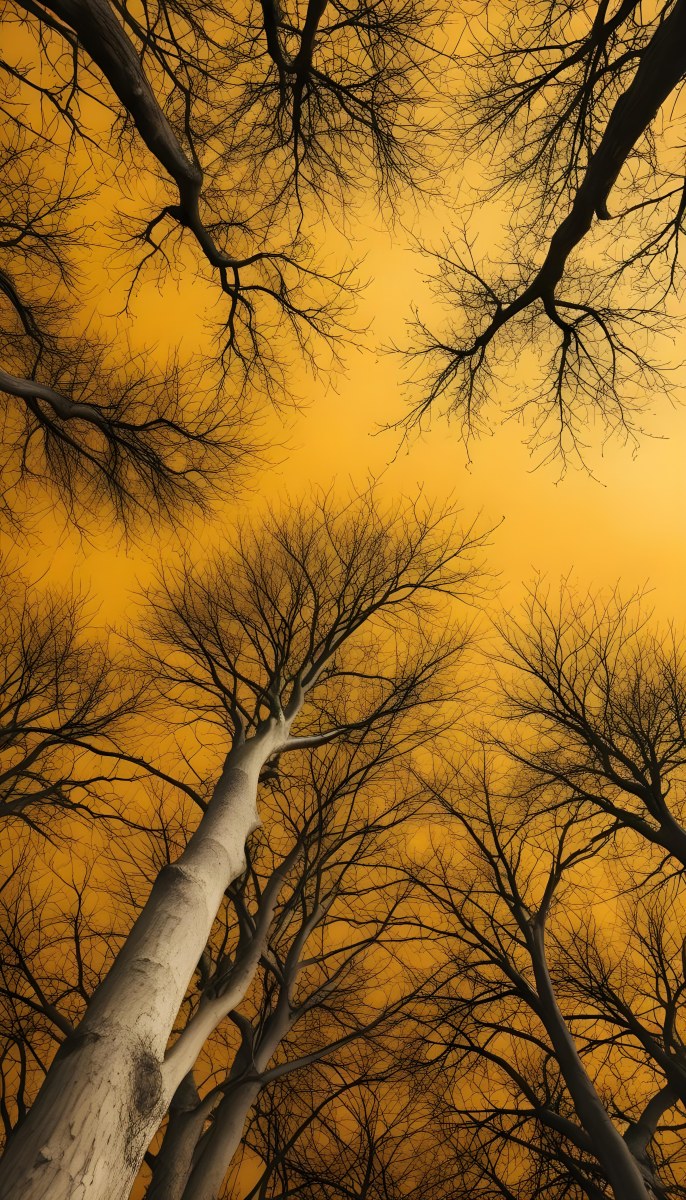 Bare Tree Branches Against A Vibrant Yellow Sky Creating An Abstract And Moody Autumn Scene 30 13c5