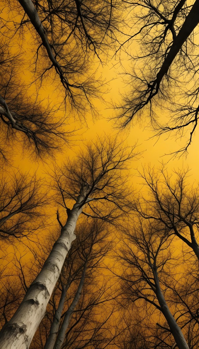 Bare Tree Branches Against A Vibrant Yellow Sky Creating An Abstract And Moody Autumn Scene 39 Adee