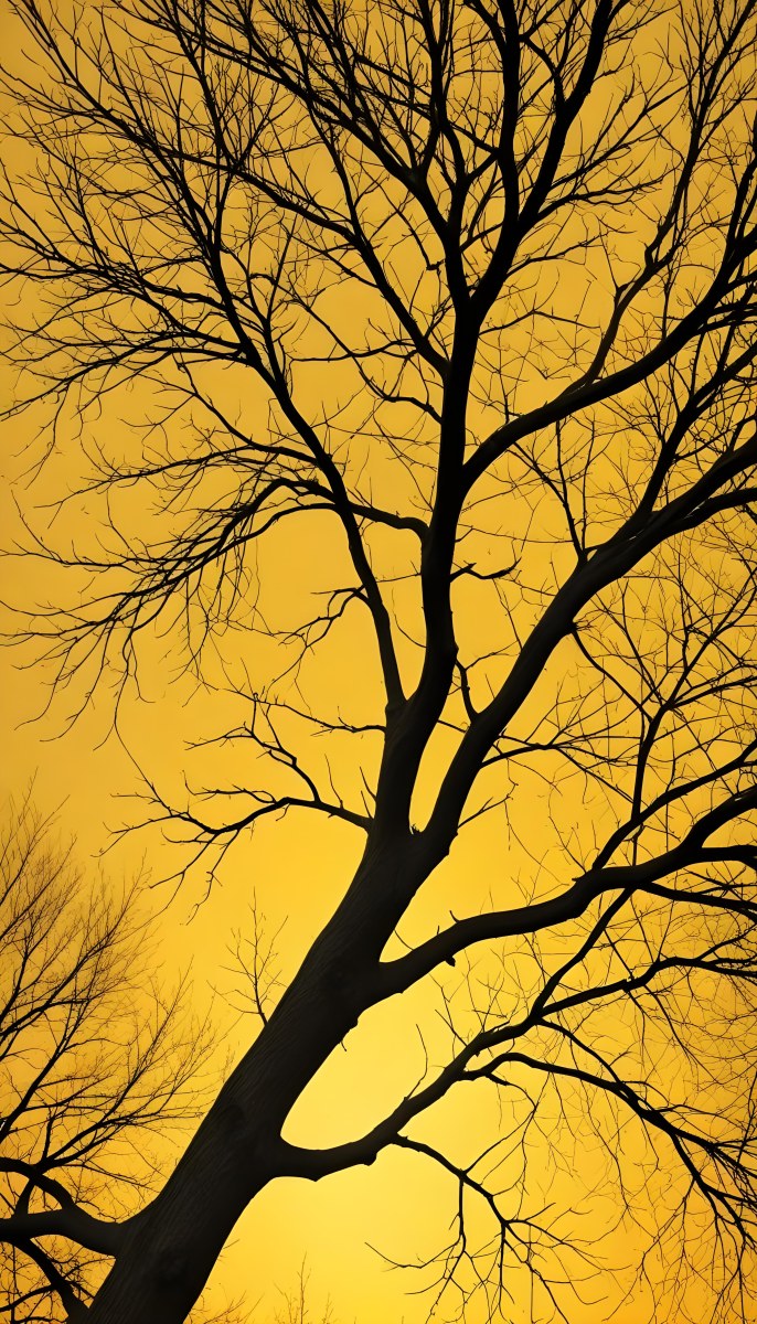 Bare Tree Branches Against A Vibrant Yellow Sky Creating An Abstract And Moody Autumn Scene 4 F4ce
