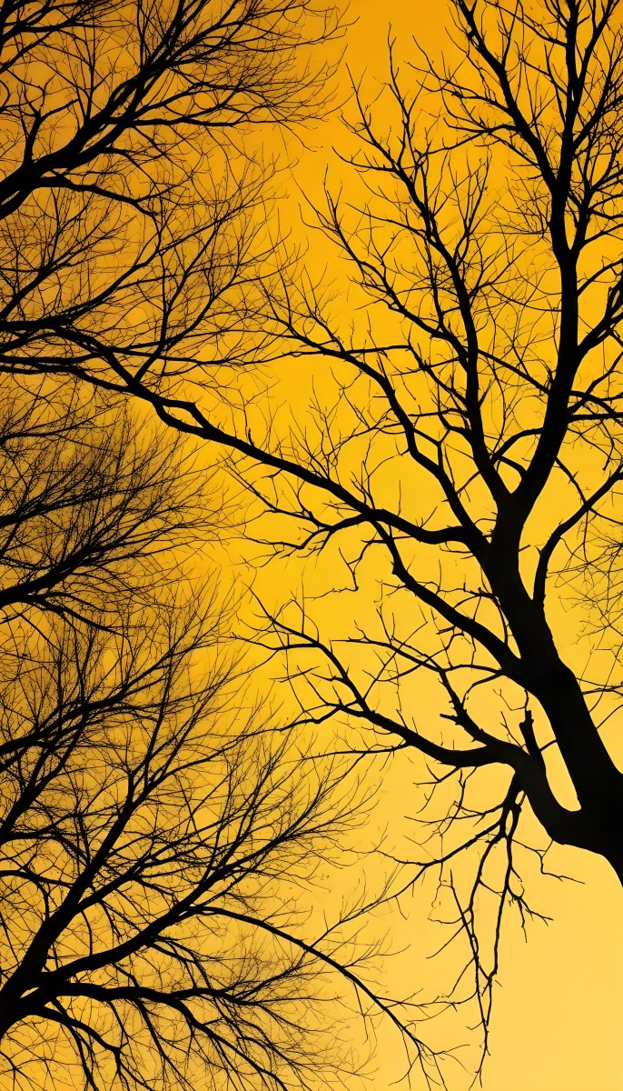 Bare Tree Branches Against A Vibrant Yellow Sky Creating An Abstract And Moody Autumn Scene 8 3f27