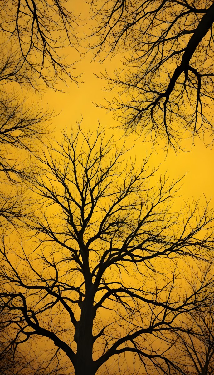 Bare Tree Branches Against A Vibrant Yellow Sky Creating An Abstract And Moody Autumn Scene 9 8613