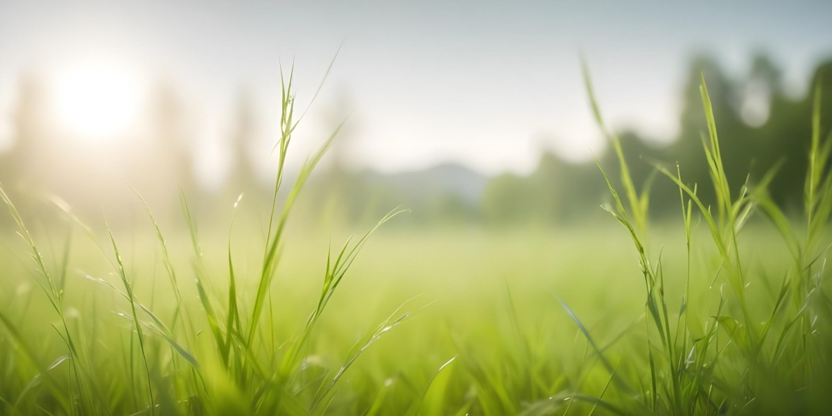 Blurred Green Grass And Foliage With A Bright Hazy Sky In The Background 11 F28a