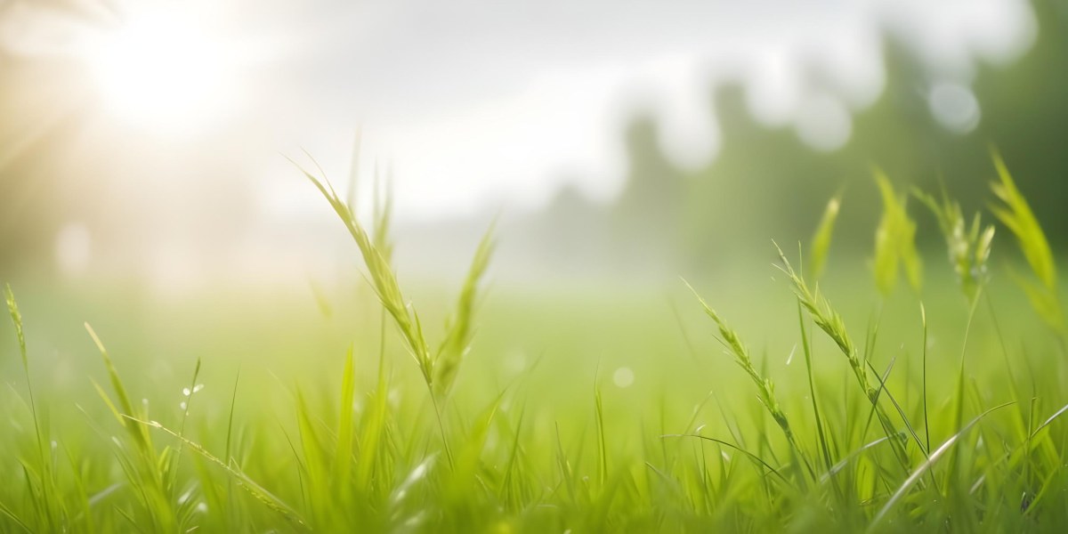 Blurred Green Grass And Foliage With A Bright Hazy Sky In The Background 14 33af