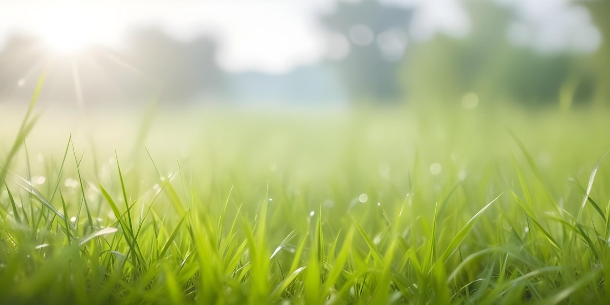 Blurred Green Grass And Foliage With A Bright Hazy Sky In The Background 16 868d