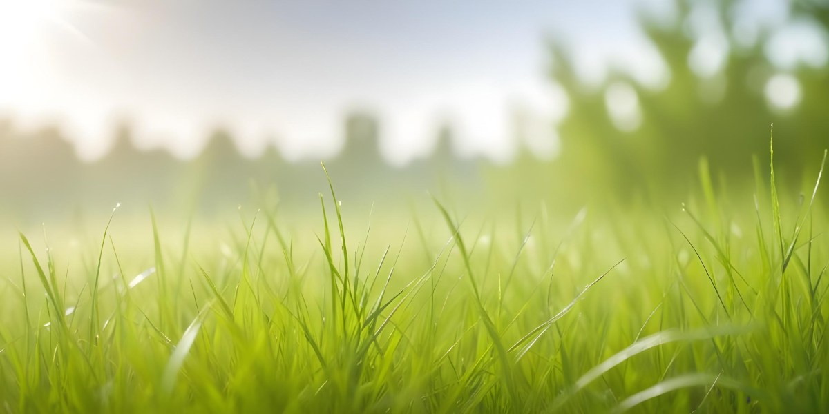 Blurred Green Grass And Foliage With A Bright Hazy Sky In The Background 18 912f