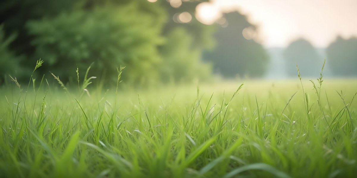 Blurred Green Grass And Foliage With A Bright Hazy Sky In The Background 2 3795