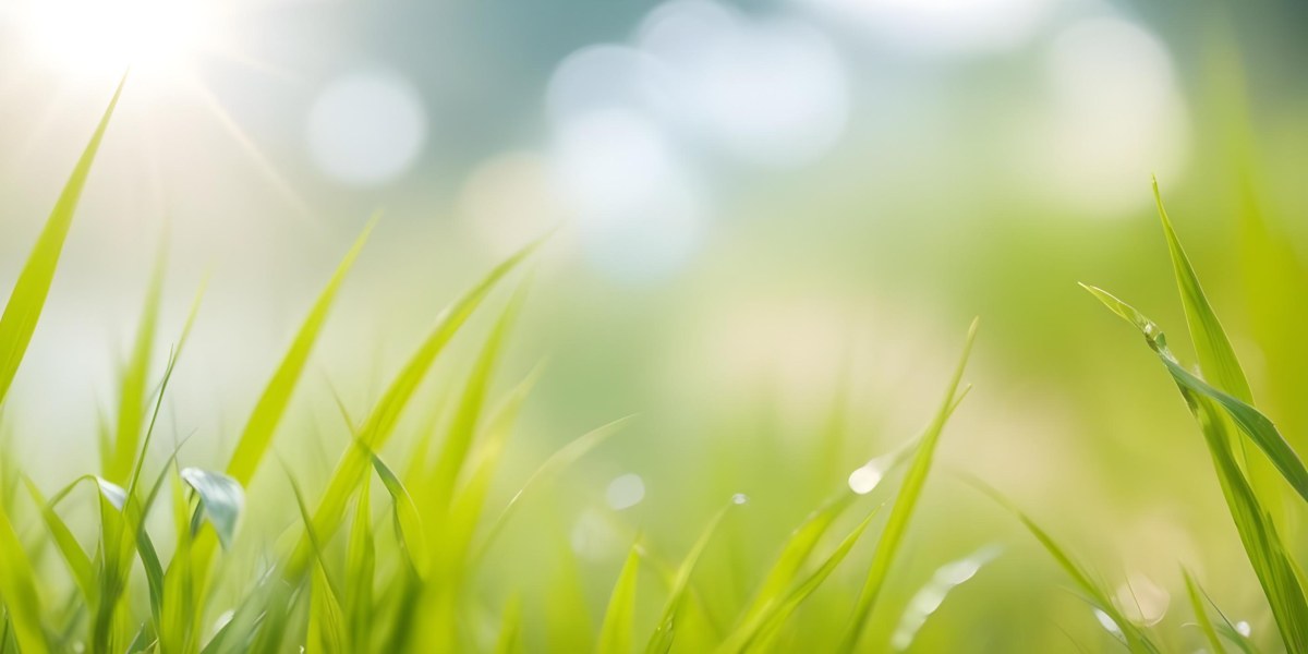 Blurred Green Grass And Foliage With A Bright Hazy Sky In The Background 20 162f