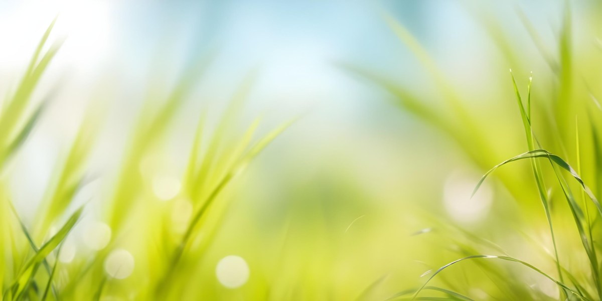 Blurred Green Grass And Foliage With A Bright Hazy Sky In The Background 21 125d