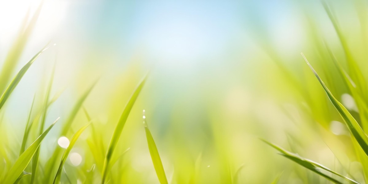 Blurred Green Grass And Foliage With A Bright Hazy Sky In The Background 22 A61f