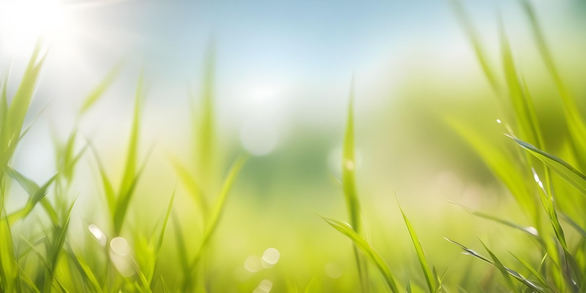 Blurred Green Grass And Foliage With A Bright Hazy Sky In The Background 23 0232