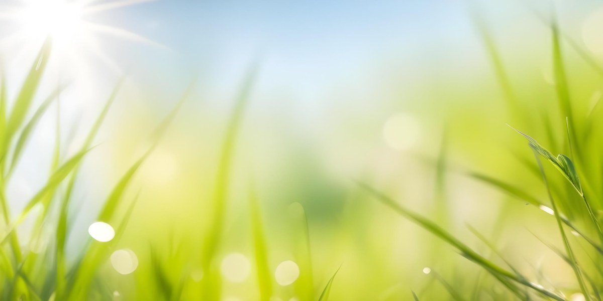 Blurred Green Grass And Foliage With A Bright Hazy Sky In The Background 24 7d62