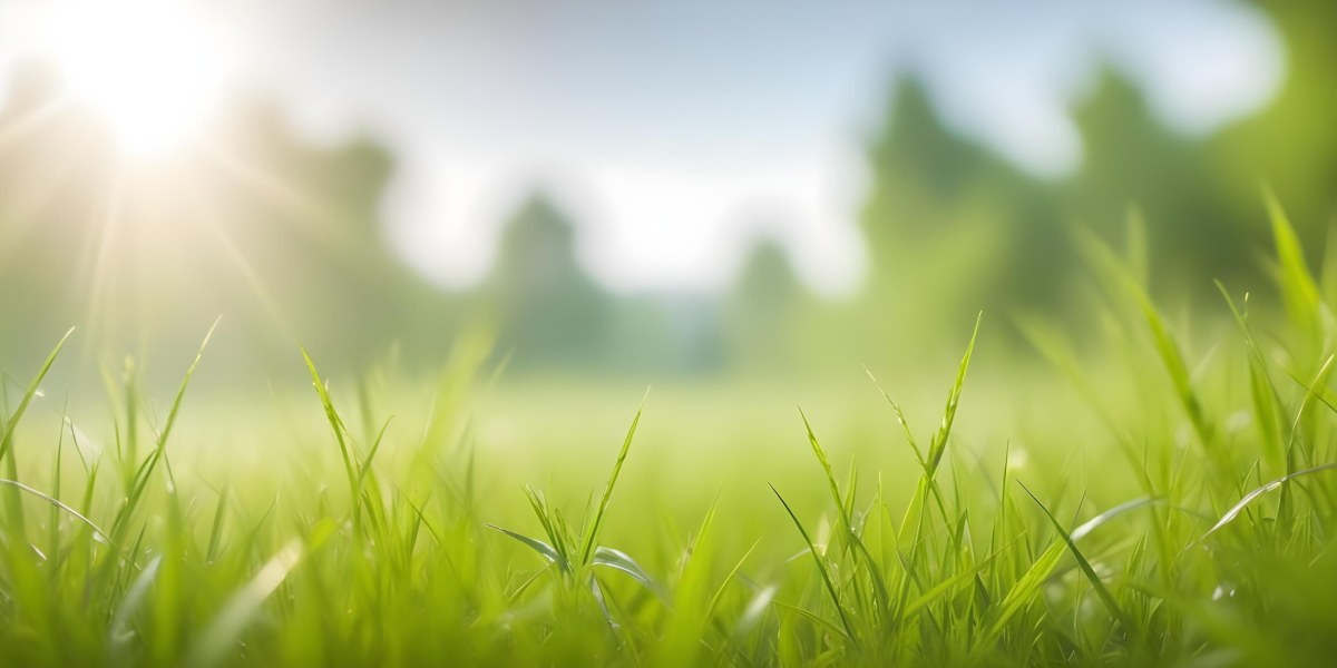 Blurred Green Grass And Foliage With A Bright Hazy Sky In The Background 3 54c7