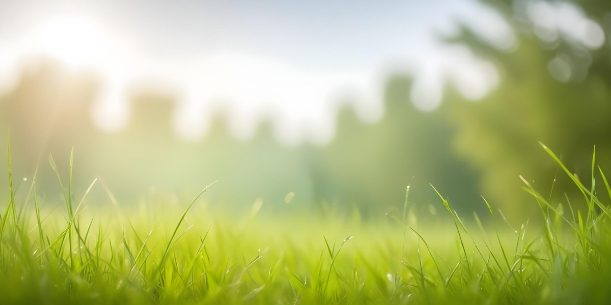 Blurred Green Grass And Foliage With A Bright Hazy Sky In The Background 4 0a51
