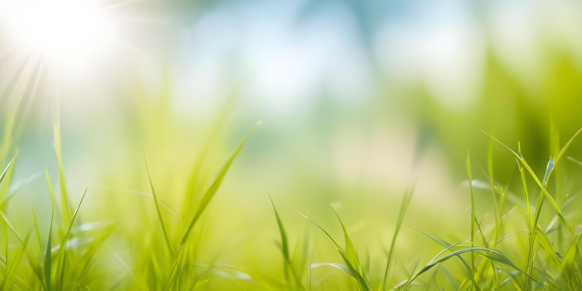 Blurred Green Grass And Foliage With A Bright Hazy Sky In The Background 5 Da99