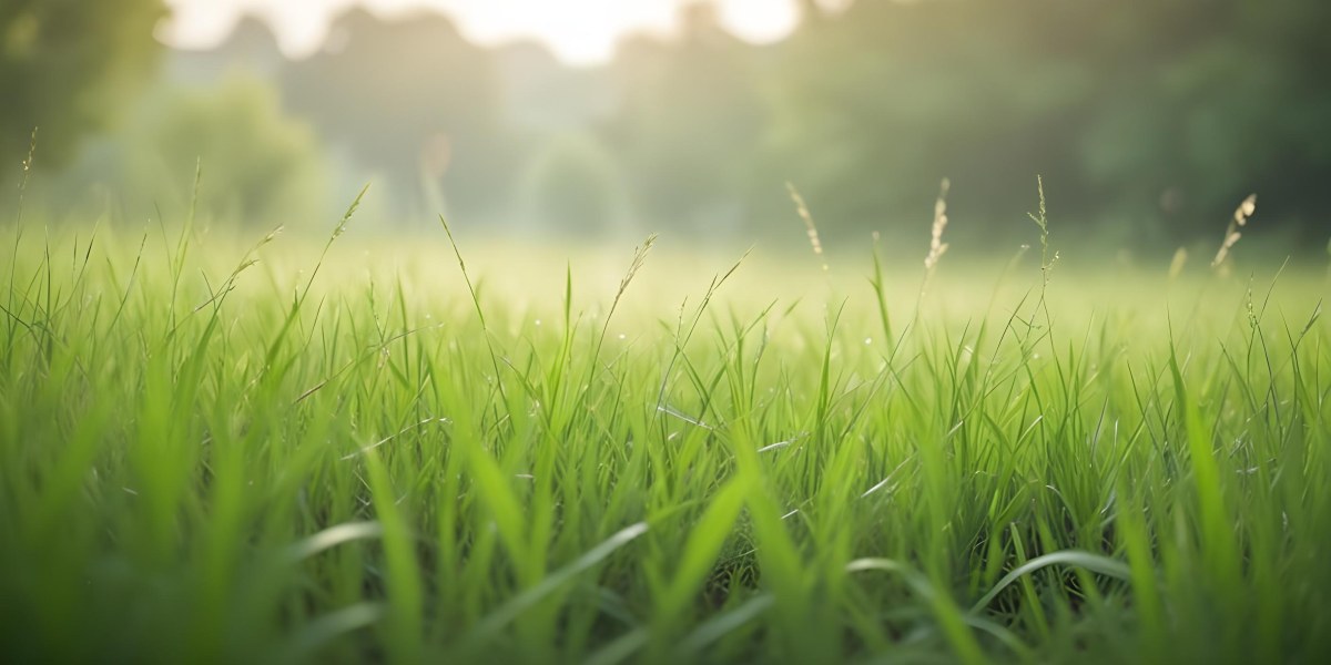 Blurred Green Grass And Foliage With A Bright Hazy Sky In The Background 6 311f