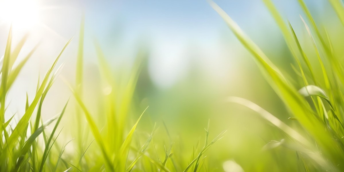 Blurred Green Grass And Foliage With A Bright Hazy Sky In The Background 7 7be3