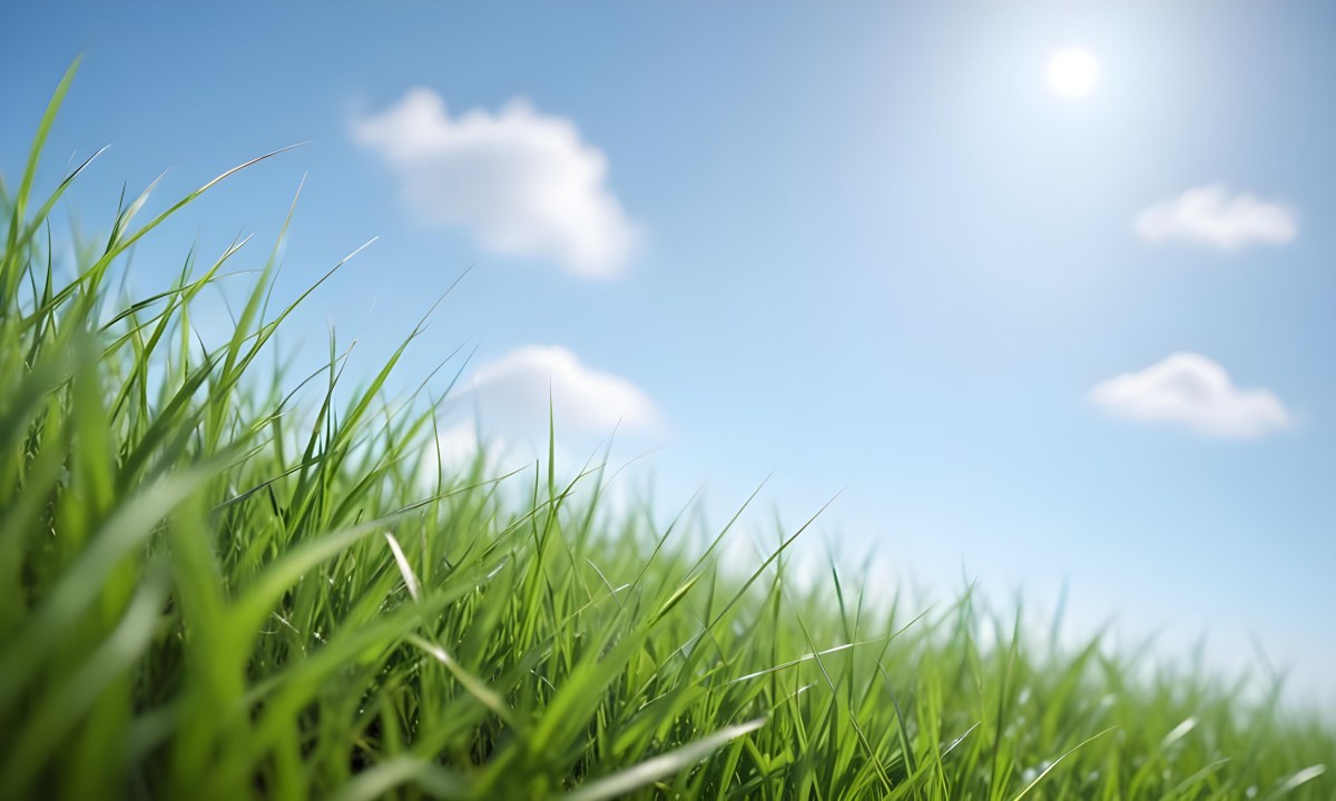 Blurred Green Grass Field With A Clear Blue Sky In The Background 12 F9f0