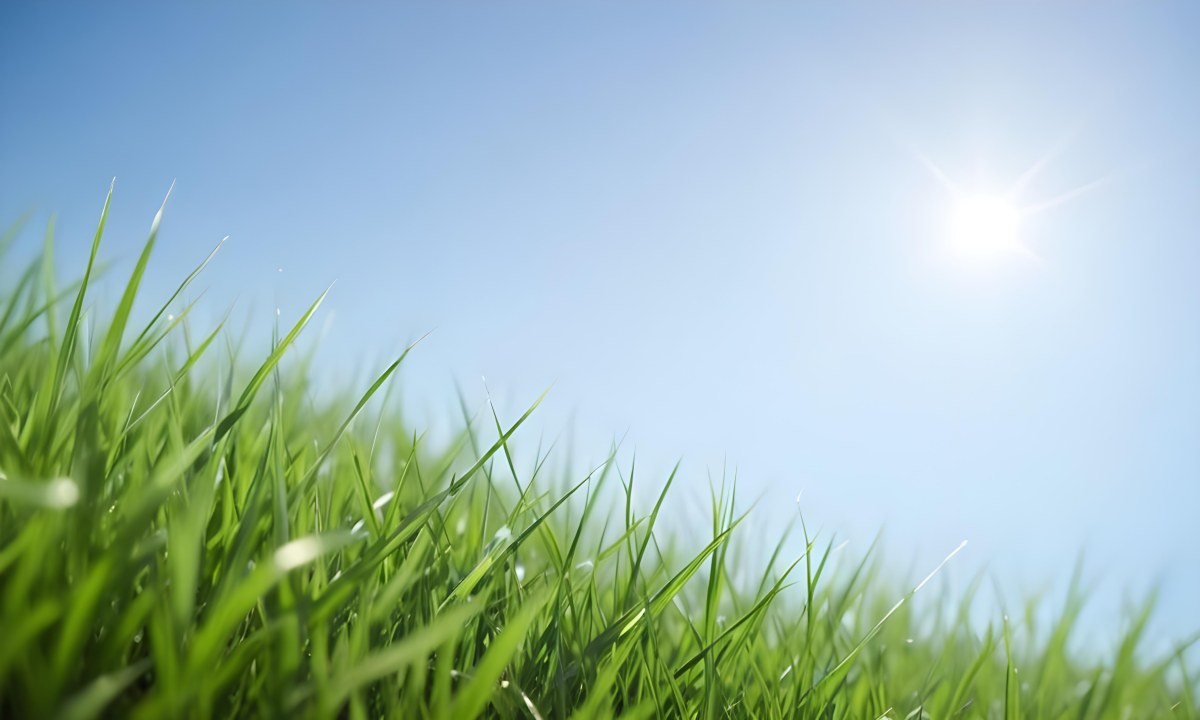 Blurred Green Grass Field With A Clear Blue Sky In The Background 15 A5c9
