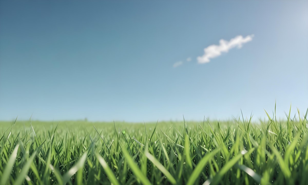 Blurred Green Grass Field With A Clear Blue Sky In The Background 2 Be2e