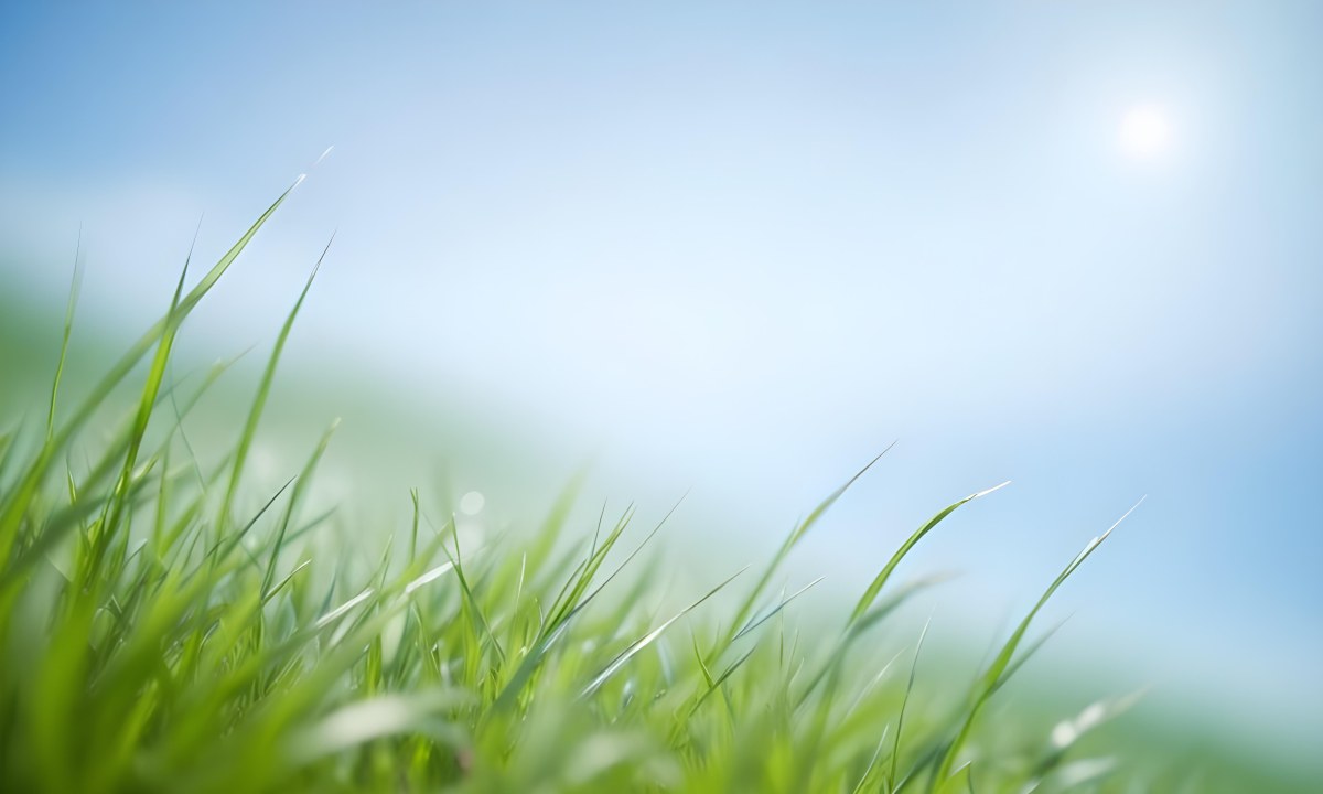 Blurred Green Grass Field With A Clear Blue Sky In The Background 9 12ee