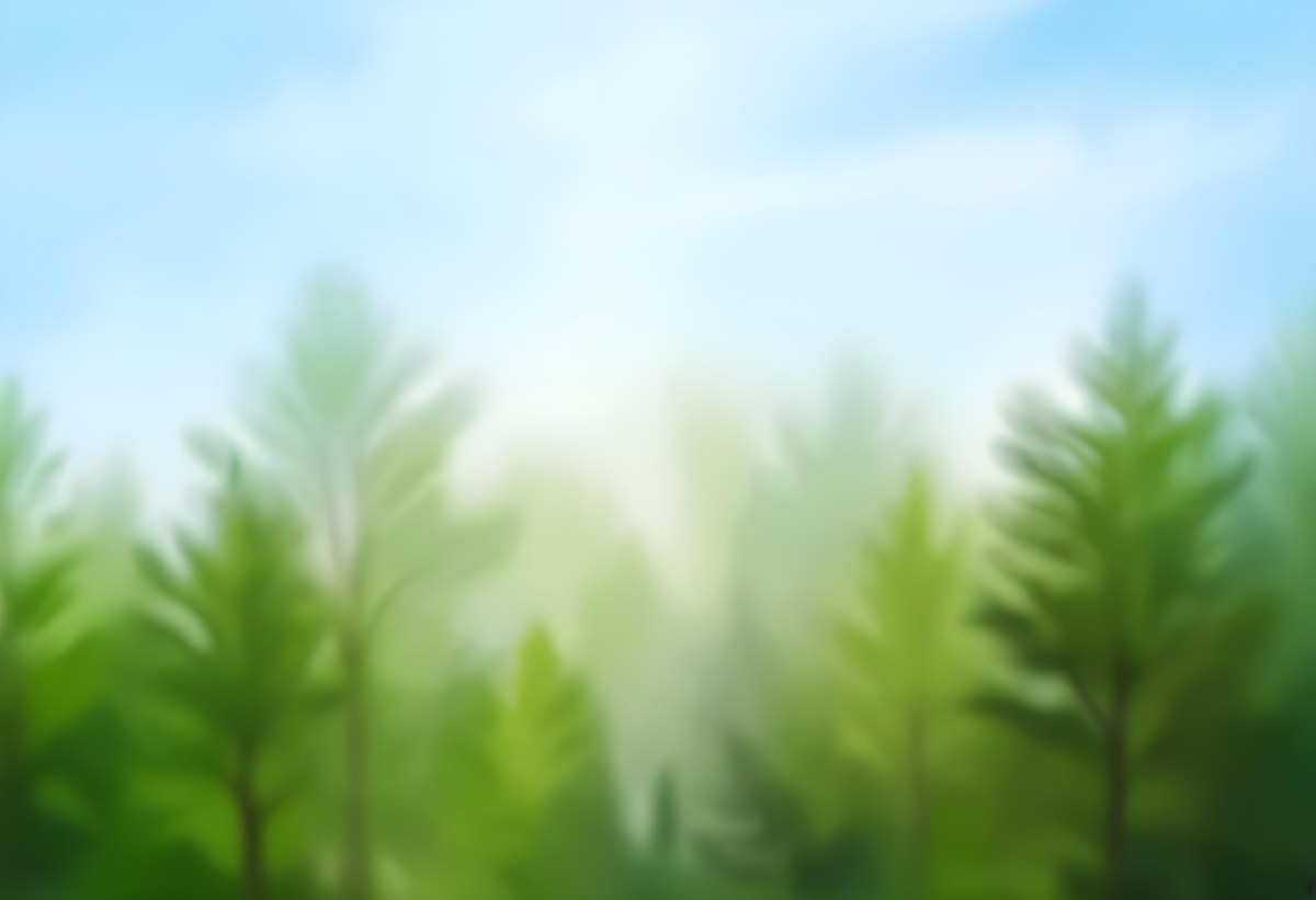 Blurred Image Of Green Trees With A Blue Sky In The Background Natural Light Natural Colors Out Of Focus Nature Photography 11 471d