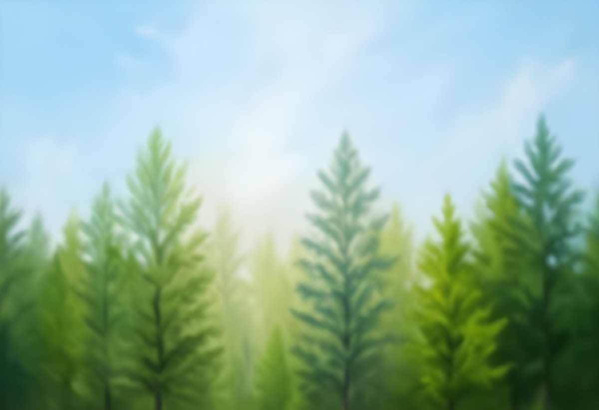 Blurred Image Of Green Trees With A Blue Sky In The Background Natural Light Natural Colors Out Of Focus Nature Photography 13 52a0