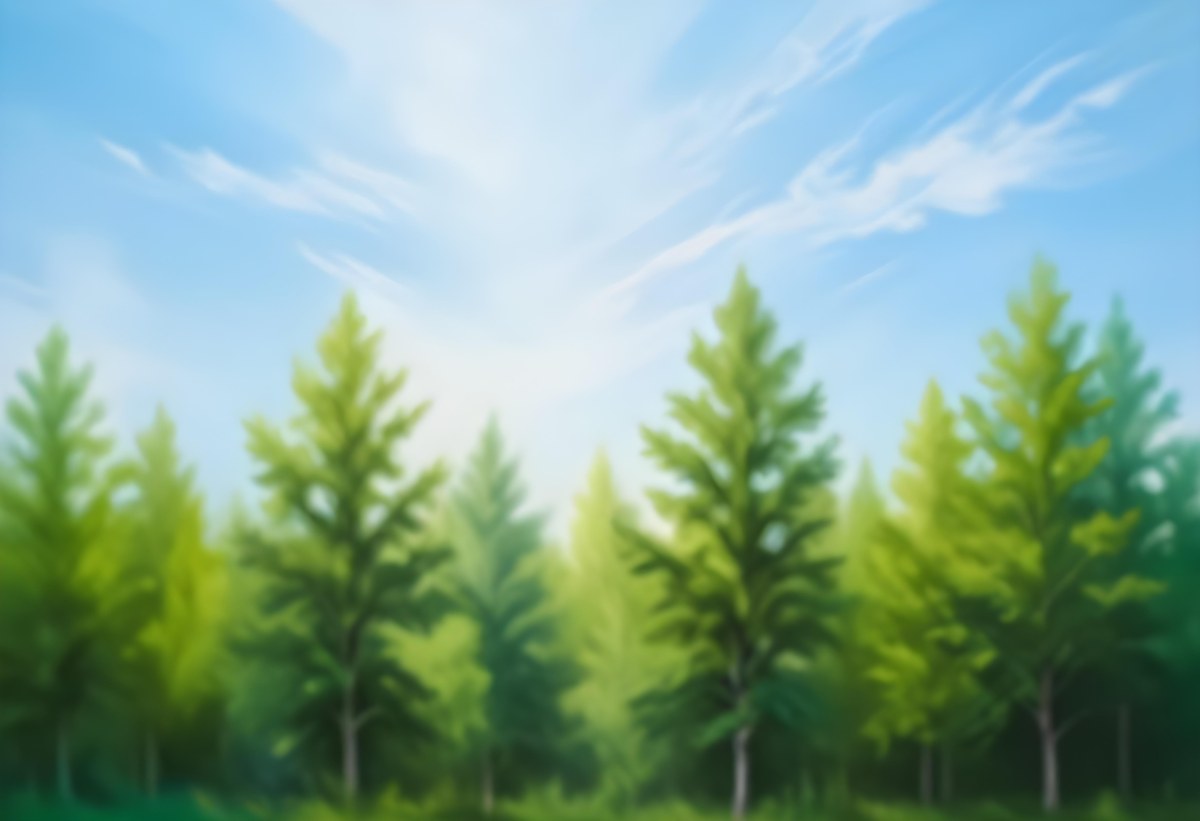 Blurred Image Of Green Trees With A Blue Sky In The Background Natural Light Natural Colors Out Of Focus Nature Photography 14 Db1b