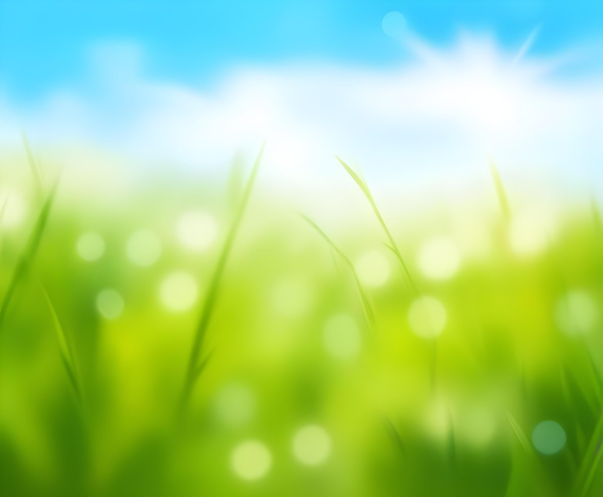 Blurred Image Of Green Trees With A Blue Sky In The Background Natural Light Natural Colors Out Of Focus Nature Photography 18 3406