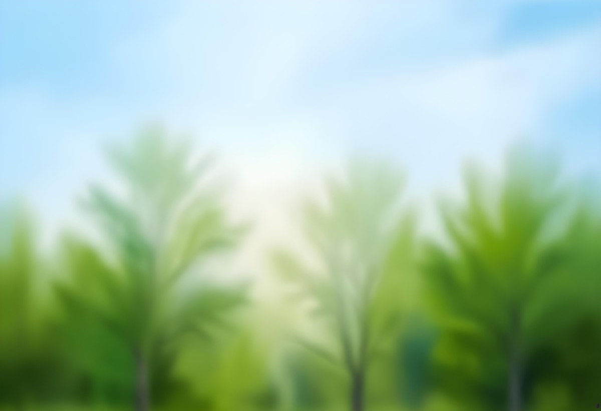 Blurred Image Of Green Trees With A Blue Sky In The Background Natural Light Natural Colors Out Of Focus Nature Photography 3 5b9f