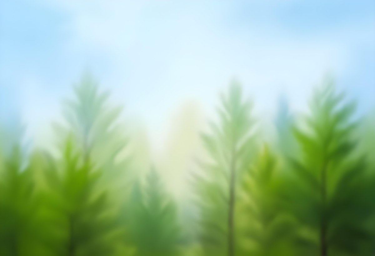 Blurred Image Of Green Trees With A Blue Sky In The Background Natural Light Natural Colors Out Of Focus Nature Photography 5 7e2e