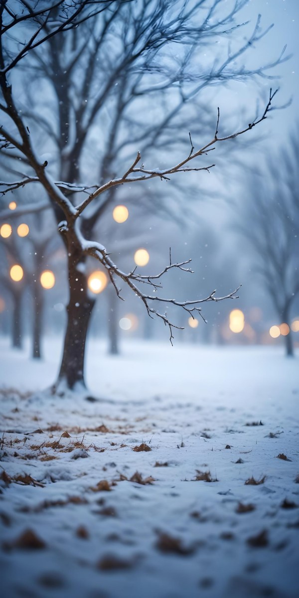 Blurred Winter Landscape With Falling Snow Bare Tree Branches And Warm Bokeh Lights In The Background 36 4f94