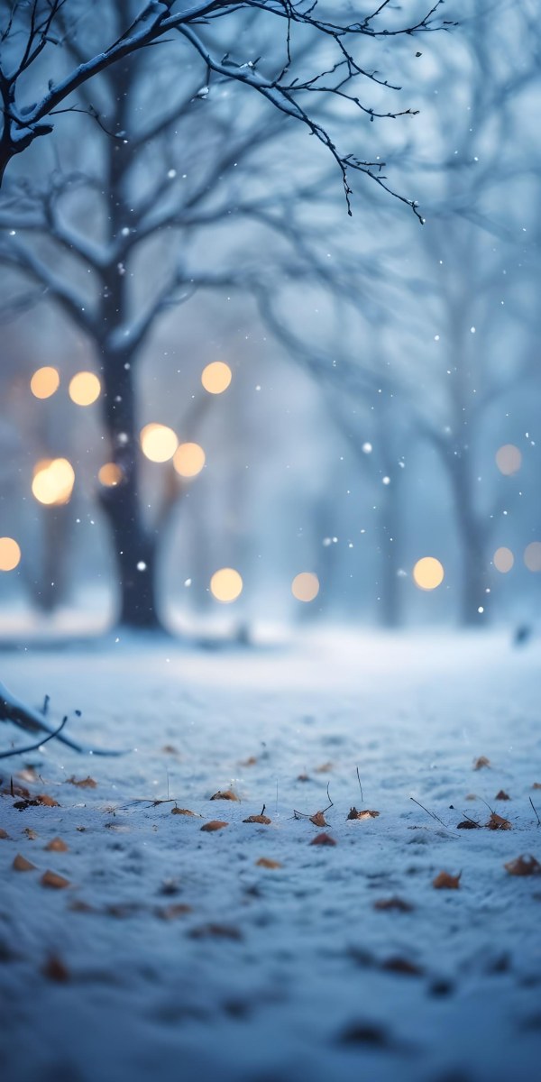 Blurred Winter Landscape With Falling Snow Bare Tree Branches And Warm Bokeh Lights In The Background 41 D802
