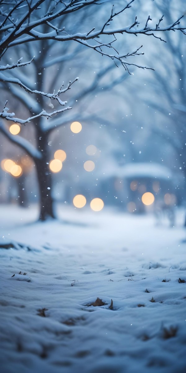 Blurred Winter Landscape With Falling Snow Bare Tree Branches And Warm Bokeh Lights In The Background 43 071d