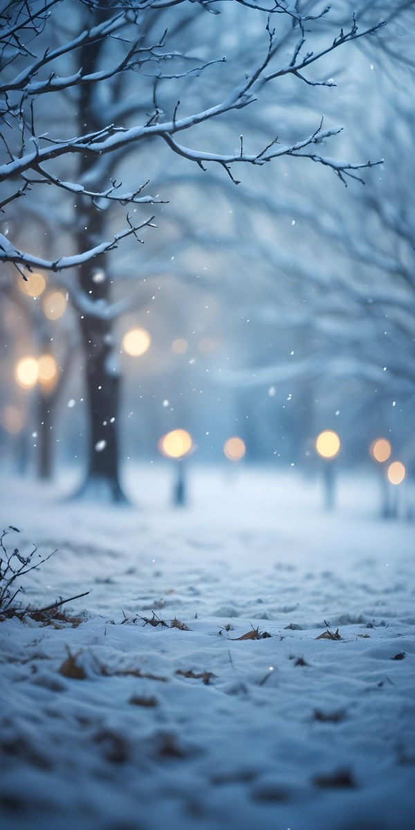Blurred Winter Landscape With Falling Snow Bare Tree Branches And Warm Bokeh Lights In The Background 44 1413