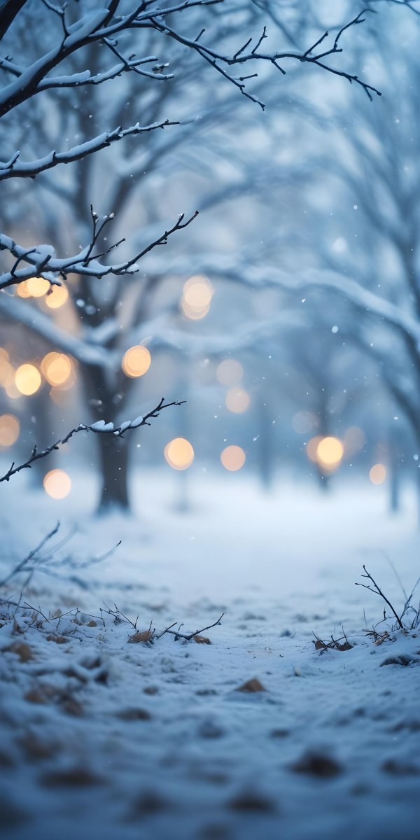 Blurred Winter Landscape With Falling Snow Bare Tree Branches And Warm Bokeh Lights In The Background 46 2127