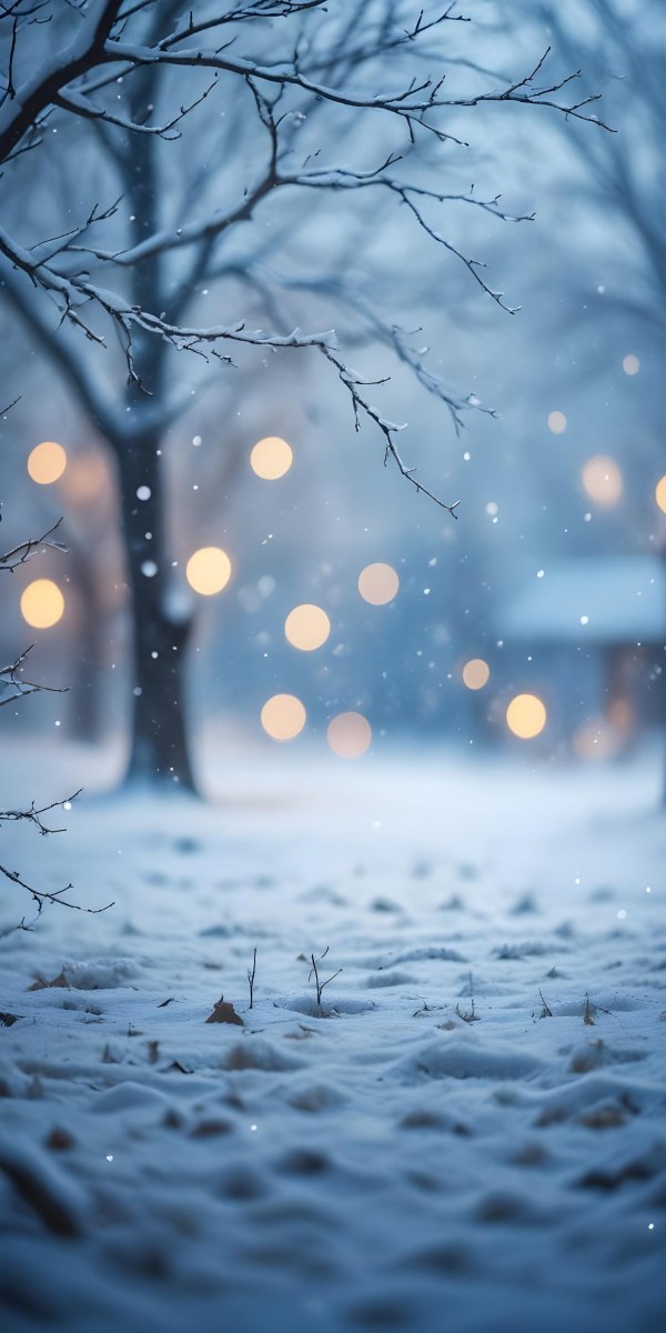 Blurred Winter Landscape With Falling Snow Bare Tree Branches And Warm Bokeh Lights In The Background 47 Ecaa