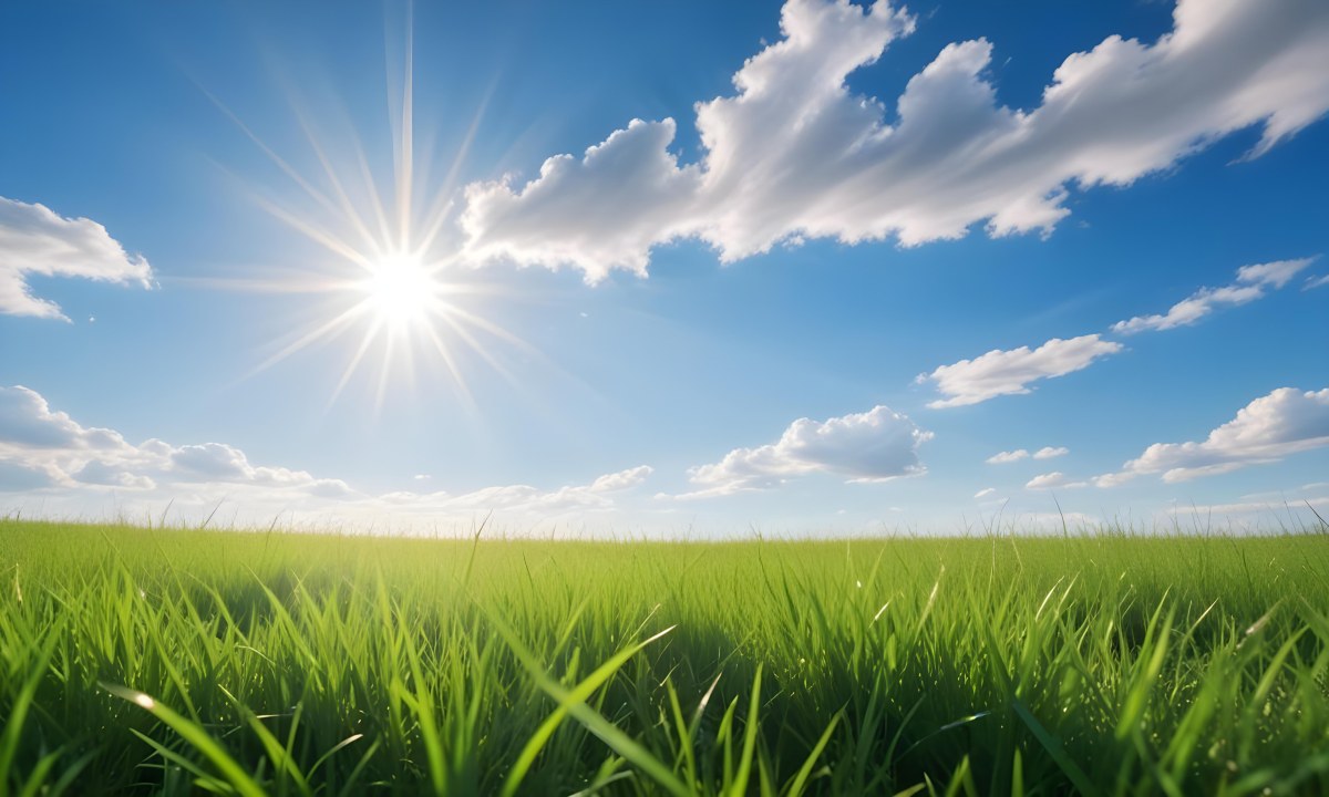 Bright Blue Sky With Sun Rays Blurred Green Grass In The Foreground 5 1545