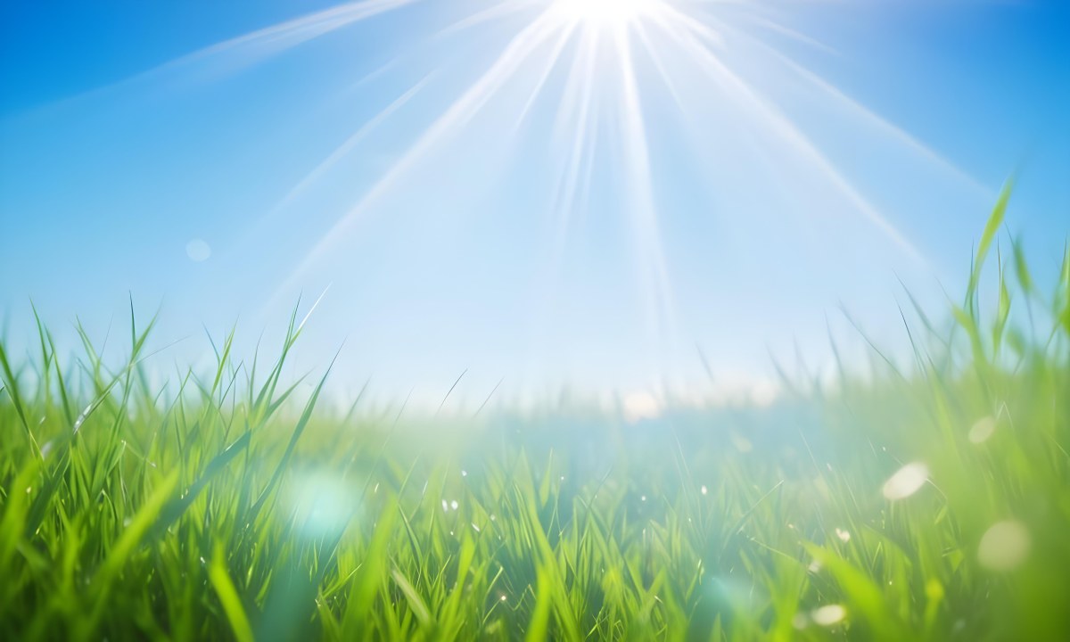 Bright Blue Sky With Sun Rays Blurred Green Grass In The Foreground 7 F6b6