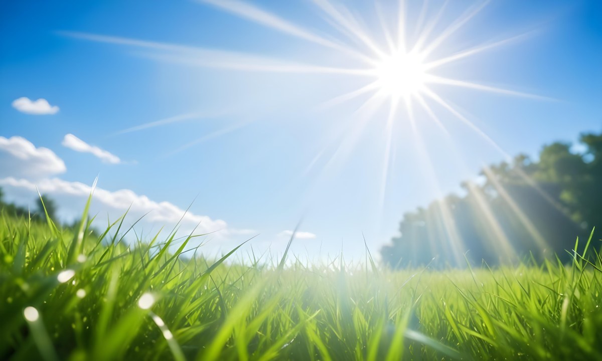 Bright Blue Sky With Sun Rays Blurred Green Grass In The Foreground 8 Ed41