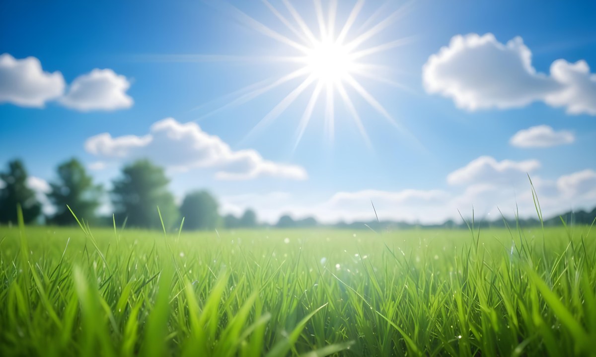Bright Blue Sky With Sun Rays Blurred Green Grass In The Foreground 9 41d5