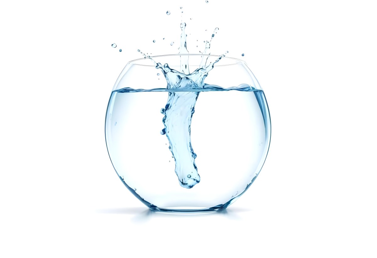 3d Model A Glass Filled With Water A Splash Of Water Is Visible The Background Is Plain White The Glass Is Made Of Clear Glass Figure Octane Render Volumetric Highly Detailed Videogame Aesthetic 9 9657