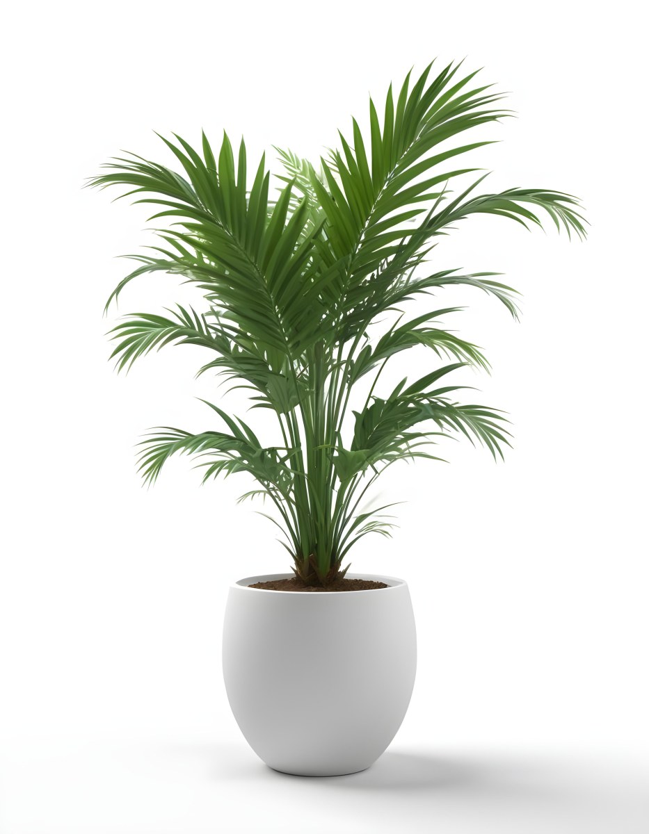 3d Model A Green Areca Palm Plant In A White Pot The Background Is Plain White The Plant Is Lush And Healthy The Pot Is Simple And Modern Figure Octane Render Volumetric Highly Detailed Videogame Aesthetic 7 4998