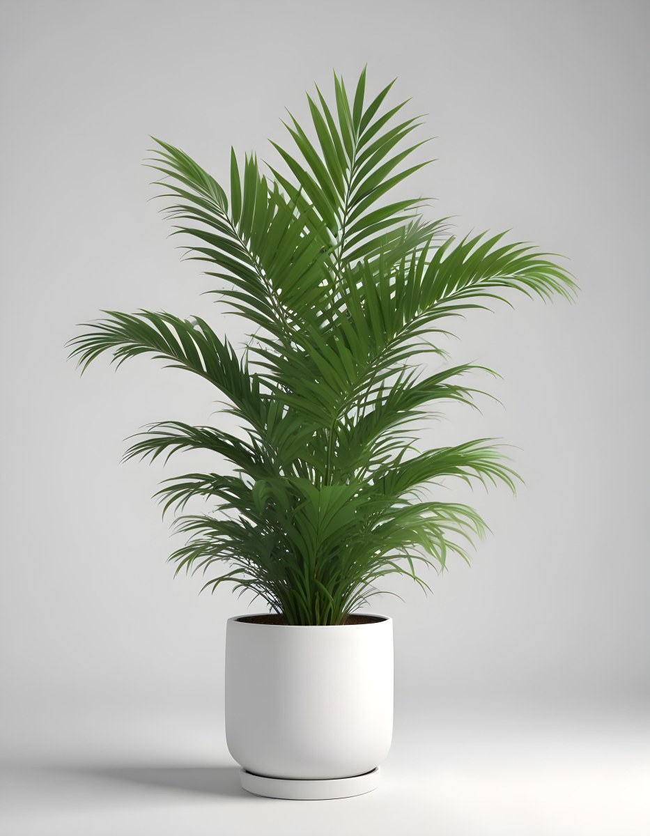 3d Model A Green Areca Palm Plant In A White Pot The Background Is Plain White The Plant Is Lush And Healthy The Pot Is Simple And Modern Figure Octane Render Volumetric Highly Detailed Videogame Aesthetic 8 9128